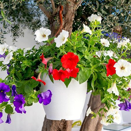 Villa Del Capo Suites Rhodes City Exterior foto