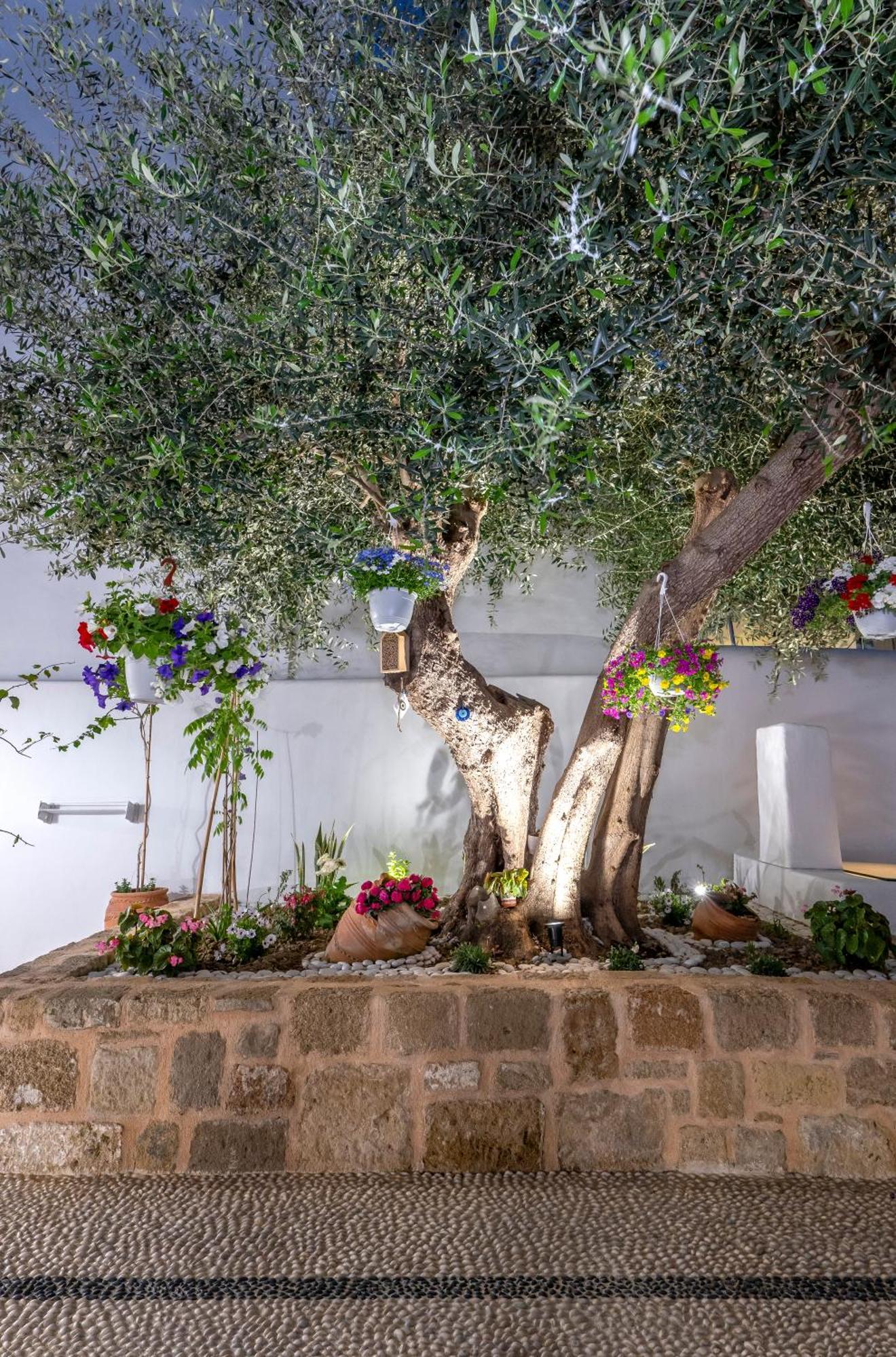 Villa Del Capo Suites Rhodes City Exterior foto
