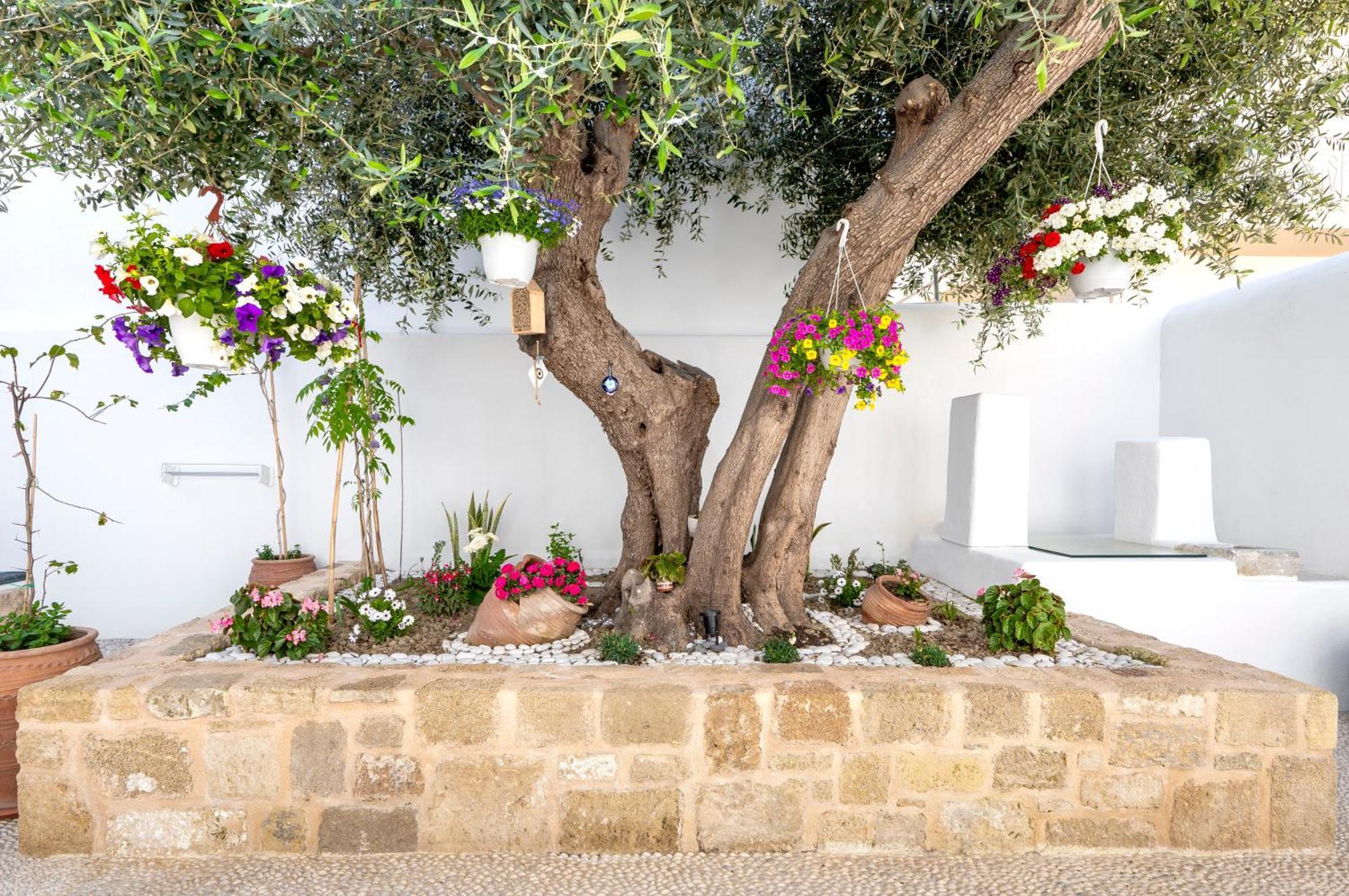 Villa Del Capo Suites Rhodes City Exterior foto